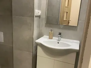 Pronájem bytu 1+kk, Brno, Křenová, 20 m2