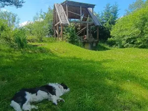 Prodej zahrady, Vrchlabí, 485 m2