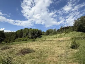Prodej pozemku pro bydlení, Ratiboř, 2493 m2