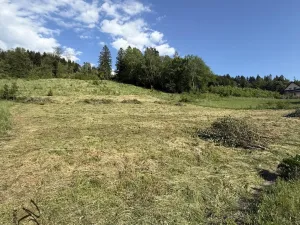Prodej pozemku pro bydlení, Ratiboř, 2493 m2