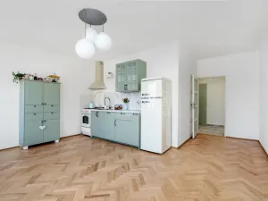 Prodej bytu 1+1, Praha - Vinohrady, Šumavská, 60 m2