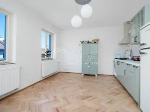 Prodej bytu 1+1, Praha - Vinohrady, Šumavská, 60 m2