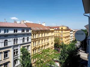 Prodej bytu 1+1, Praha - Vinohrady, Šumavská, 60 m2
