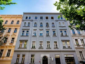 Prodej bytu 1+1, Praha - Vinohrady, Šumavská, 60 m2