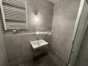 Pronájem bytu 1+kk, Praha - Žižkov, Malešická, 50 m2