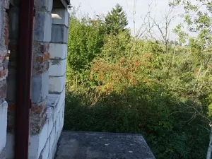 Prodej zahrady, Pašinka, 379 m2