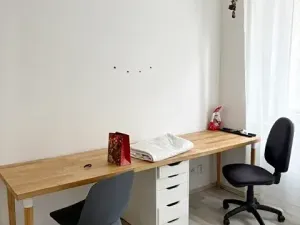 Pronájem bytu 1+1, Praha, V předpolí, 43 m2