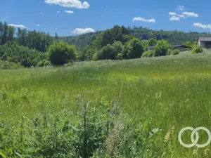 Prodej pozemku pro bydlení, Poličná, 770 m2