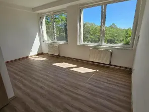 Pronájem bytu 2+kk, Mlékojedy, 50 m2