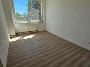 Pronájem bytu 2+kk, Mlékojedy, 50 m2