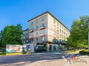 Prodej bytu 3+1, Pardubice - Zelené Předměstí, Palackého třída, 79 m2