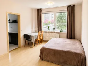 Pronájem bytu 3+1, Tábor, Sofijská, 67 m2