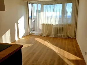 Pronájem bytu 1+kk, Praha, Kyselova, 28 m2