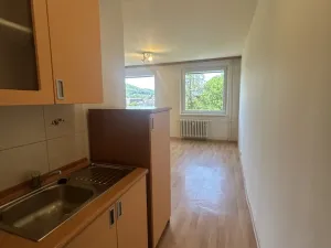 Pronájem bytu 1+kk, Ústí nad Labem, Vinařská, 31 m2