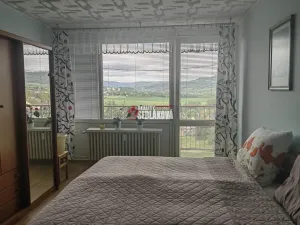 Prodej bytu 3+1, Děčín - Děčín VI-Letná, Weberova, 82 m2