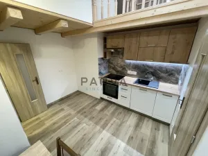 Pronájem bytu 1+1, Plzeň - Jižní Předměstí, Skvrňanská, 45 m2
