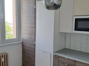 Pronájem bytu 2+1, Bílovec, Radotínská, 46 m2