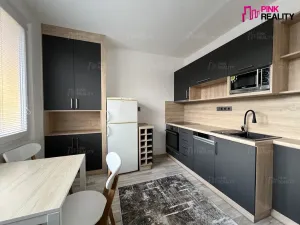 Pronájem bytu 1+1, Rychnov nad Kněžnou, Na Trávníku, 38 m2