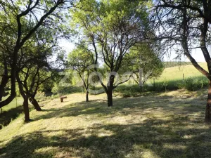 Prodej chalupy, Štítná nad Vláří-Popov - Štítná nad Vláří, 81 m2