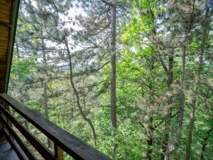 Prodej chaty, Dobřichovice, Palackého, 33 m2