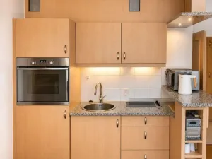 Pronájem bytu 1+kk, Praha - Vinohrady, Francouzská, 28 m2