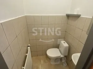 Pronájem obchodního prostoru, Mohelnice, U Hřiště, 60 m2