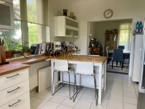 Pronájem rodinného domu, Praha - Nebušice, Na závěji, 300 m2