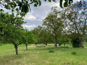 Prodej chaty, Želeč, 35 m2