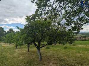 Prodej chaty, Želeč, 35 m2