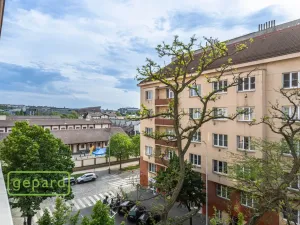 Prodej bytu 1+1, Praha - Holešovice, Osadní, 53 m2
