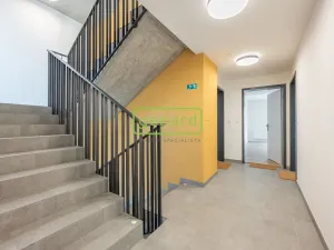 Pronájem bytu 1+kk, Praha, Pakoměřická, 27 m2
