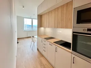 Pronájem bytu 1+kk, Brno, Placzkova, 33 m2