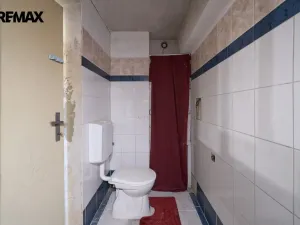 Prodej pozemku pro bydlení, Hlušice - Hlušičky, 3629 m2