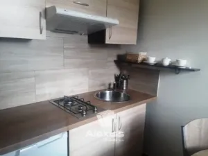 Pronájem bytu 1+kk, Čelákovice - Záluží, Vořechovka, 26 m2