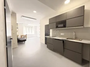 Pronájem bytu 1+kk, Praha - Nové Město, Dittrichova, 55 m2