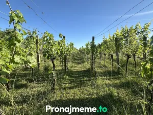Pronájem - jiné, Šatov, 1759 m2