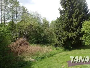 Prodej pozemku pro bydlení, Mladějov, 2297 m2