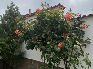 Prodej rodinného domu, Nesebar, Bulharsko, 340 m2