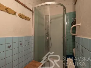 Prodej rodinného domu, Horažďovice, Komenského, 1020 m2