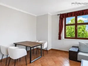 Pronájem bytu 2+kk, Praha - Vinohrady, Perucká, 75 m2