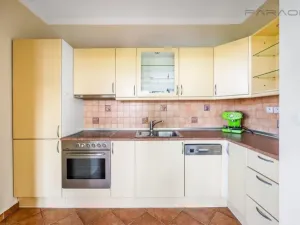 Pronájem bytu 2+kk, Praha - Vinohrady, Perucká, 75 m2
