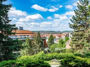 Pronájem bytu 2+kk, Praha - Vinohrady, Perucká, 75 m2