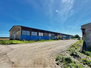 Prodej skladu, Řídký, 983 m2