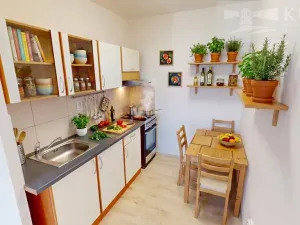 Pronájem bytu 2+kk, Příbram, Šachetní, 43 m2