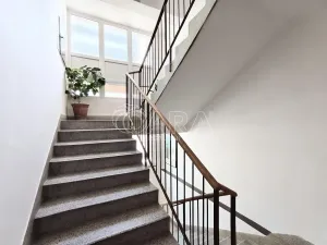 Pronájem bytu 3+kk, Praha - Břevnov, Ve Střešovičkách, 81 m2