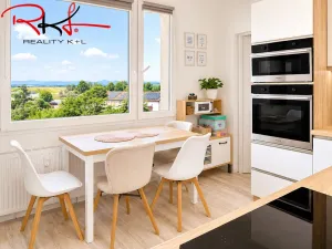 Prodej bytu 2+1, Roudnice nad Labem, Hornická, 48 m2