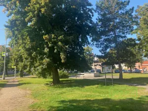 Pronájem bytu 1+kk, Řevnice, Pod Lipami, 44 m2