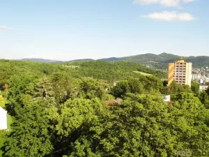 Pronájem bytu 1+1, Ústí nad Labem, SNP, 37 m2