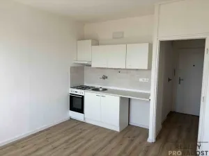 Pronájem bytu 1+1, Ústí nad Labem, SNP, 37 m2