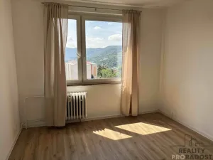 Pronájem bytu 1+1, Ústí nad Labem, SNP, 37 m2